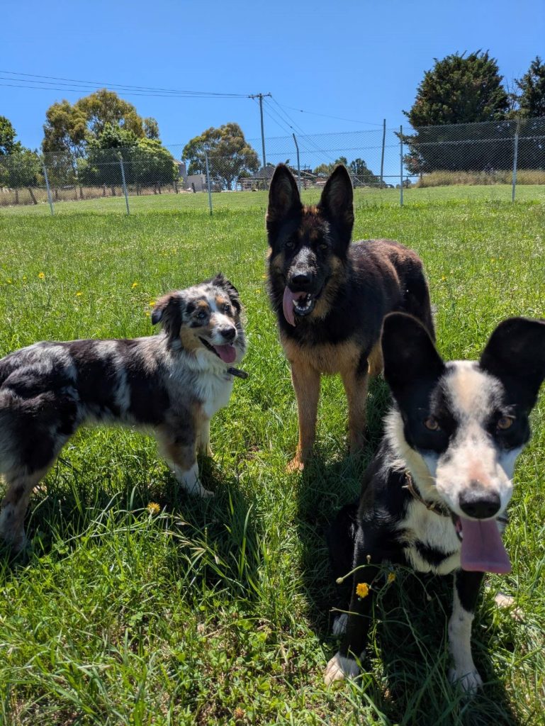 billie chelsea and josie